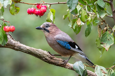 Similar image 21634237