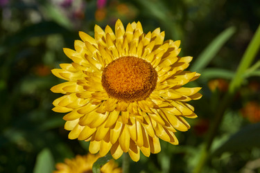 Similar image 21631726