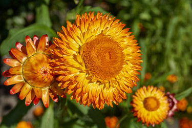 Similar image 21631729