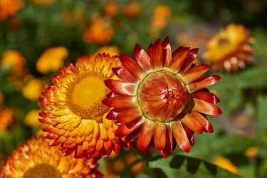 Similar image 21631731