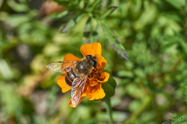 Similar image 21631734