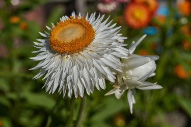 Similar image 21631735