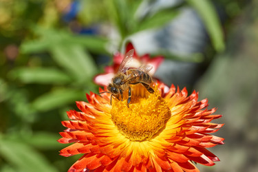 Similar image 21631737