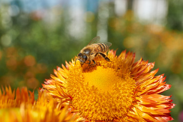 Similar image 21631738