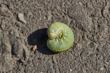 Similar image 21631739