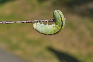 Similar image 21631740