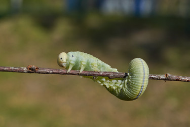 Similar image 21631741