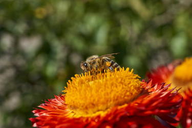 Similar image 21631742