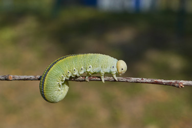 Similar image 21631743