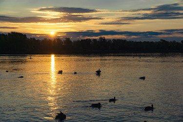 Similar image 21632031