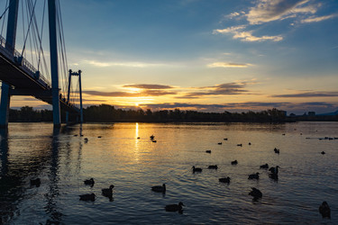 Similar image 21632046