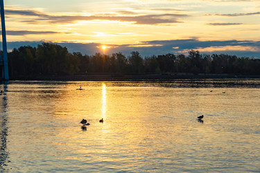 Similar image 21632075