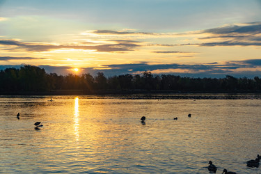 Similar image 21632102