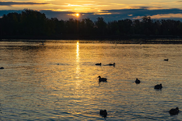 Similar image 21632104