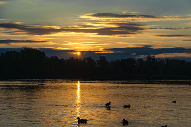 Similar image 21632105