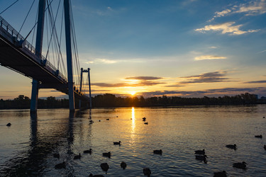 Similar image 21632110