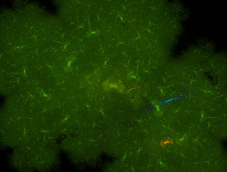 Similar image 21637440