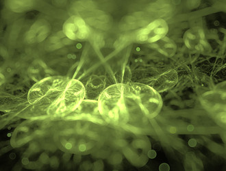 Similar image 21637445