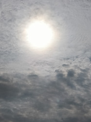 Similar image 21631621