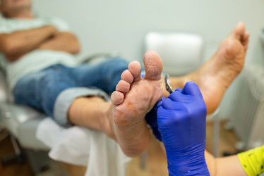 Similar image 21631758