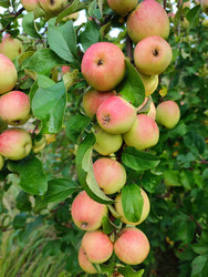 Similar image 21632121