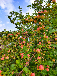 Similar image 21632122