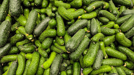 Similar image 21632124