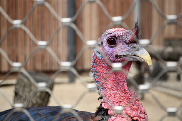 Similar image 21631766