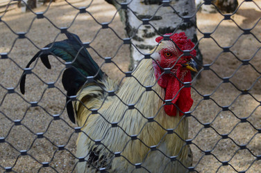 Similar image 21631768