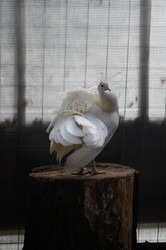 Similar image 21631771