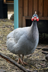 Similar image 21631773