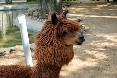 Similar image 21631775