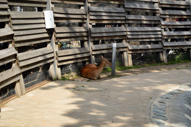 Similar image 21631776