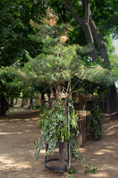 Similar image 21631777