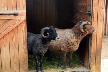 Similar image 21631778