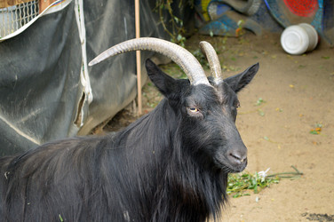 Similar image 21631781