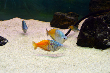 Similar image 21631782