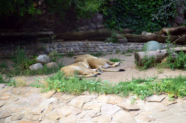 Similar image 21631784