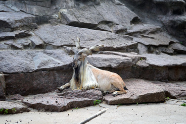 Similar image 21631785