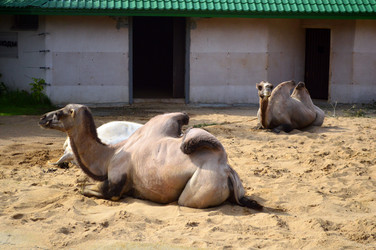 Similar image 21631786