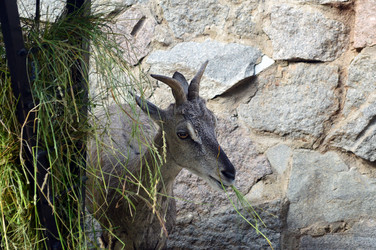 Similar image 21631787