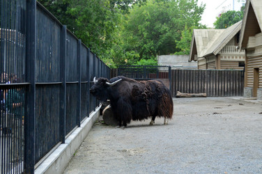 Similar image 21631788