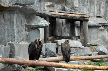 Similar image 21631789