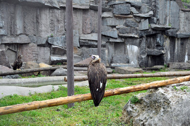 Similar image 21631791