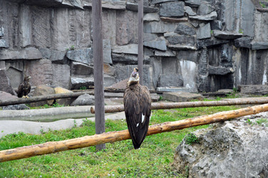 Similar image 21631792