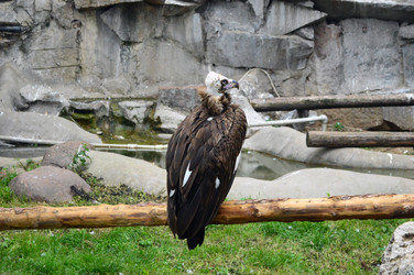 Similar image 21631793