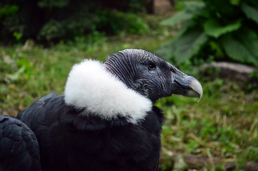 Similar image 21631794