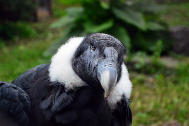 Similar image 21631795