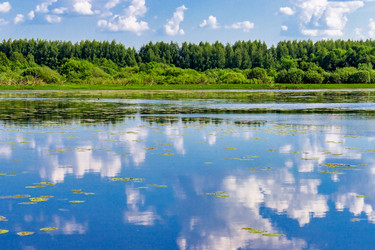 Similar image 21632136