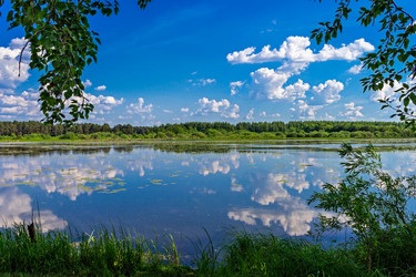 Similar image 21632137